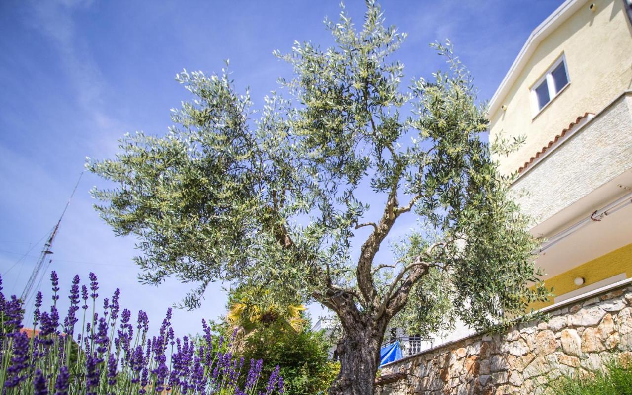 Apartments Balach Poreč Eksteriør bilde